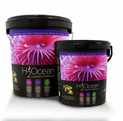 D-D – 6.6KG BUCKET H2OCEAN CLASSIC PRO REEF SALT
