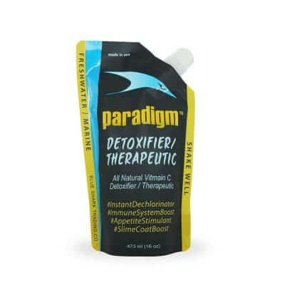 paradigm 16oz (473ml)