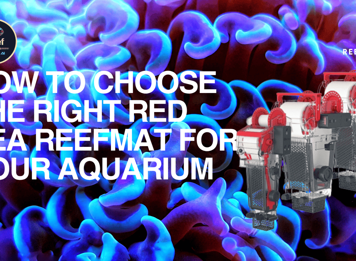How to Choose the Right Red Sea ReefMat for Your Aquarium