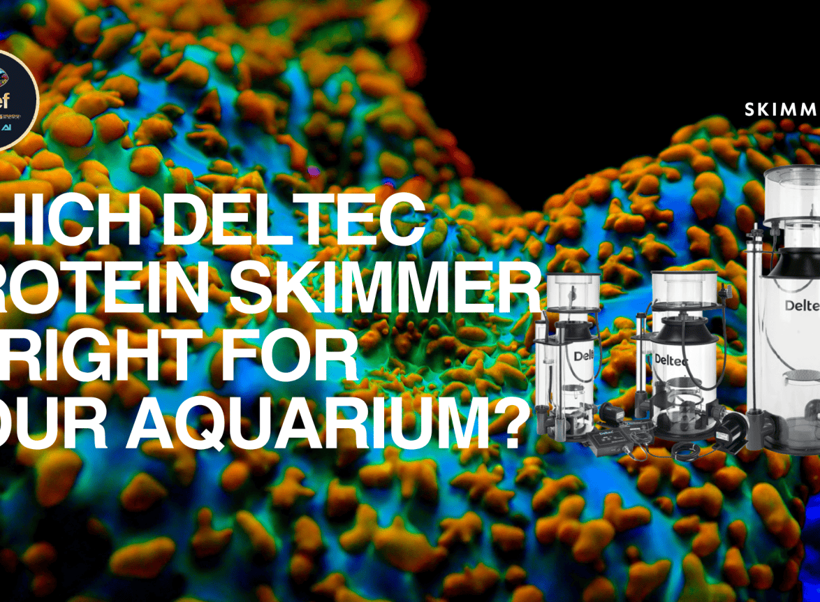 Which Deltec Protein Skimmer Is Right for Your Aquarium?