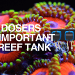Why Dosers Are Important in a Reef Tank