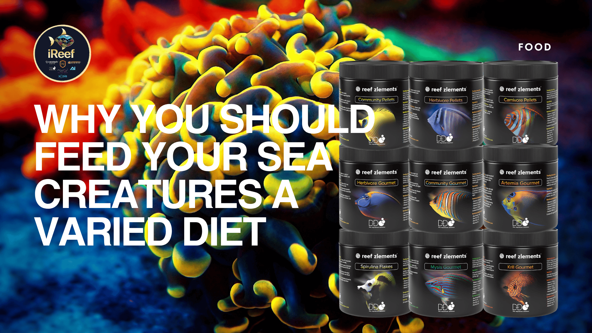 Why You Should Feed Your Sea Creatures a Varied Diet