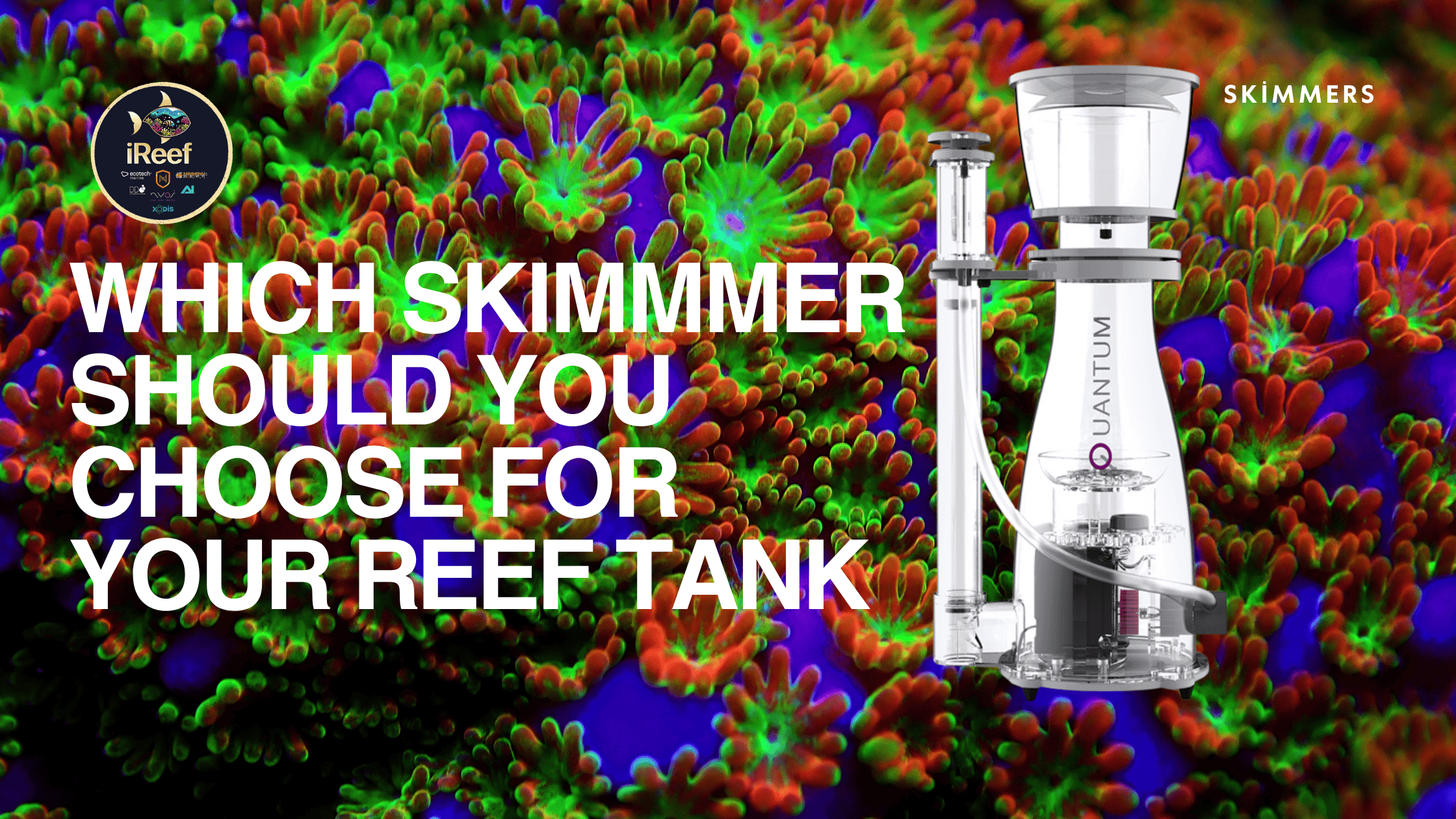 Myos Quantum Skimmers Explained: Which Model is Right for Your Reef Tank