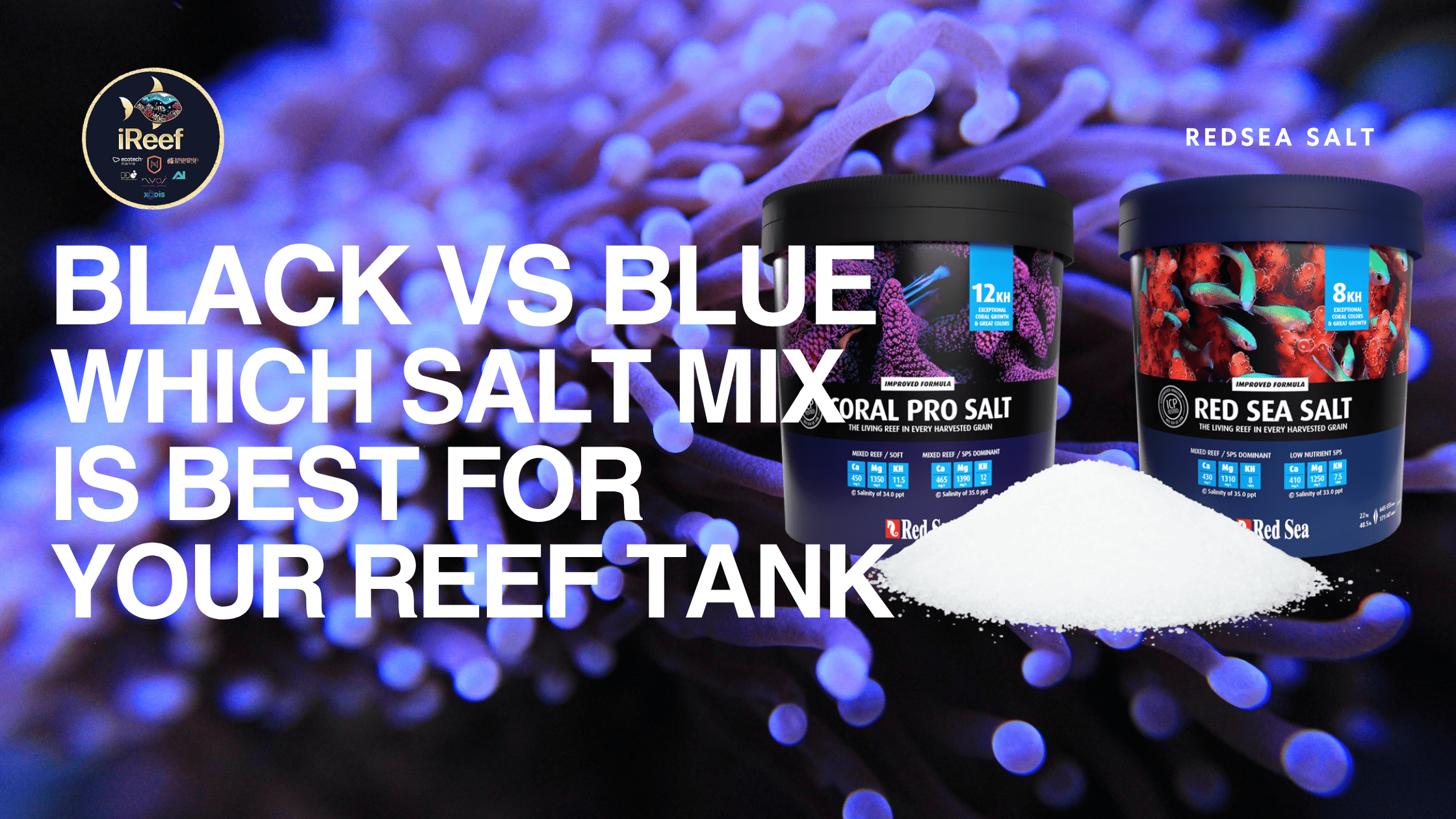 Red Sea Blue Bucket vs Black Bucket: Which Salt Mix is Best for Your Reef?