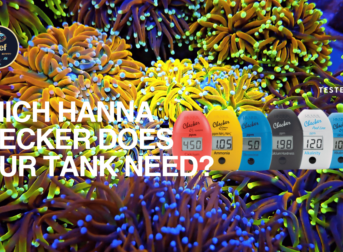Hanna Checkers Explained: Which One Does Your Reef Tank Need?