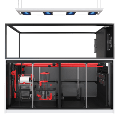 Red Sea – REEFER MAX Peninsula S-950 G3 947L – White