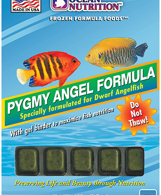 Ocean nutrition pygmy angel formula