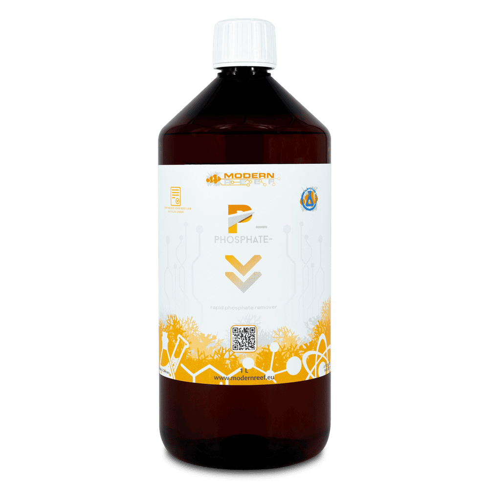 modern reef phosphate-