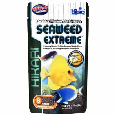 Hikari seaweed extreme