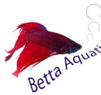 Betta Logo